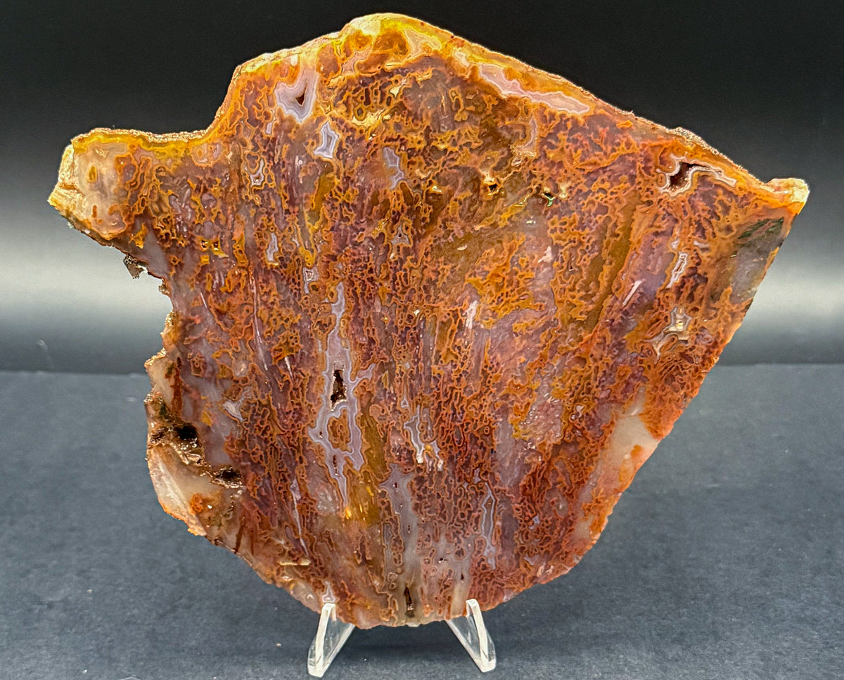 Bull Canyon Tube/Moss Agate (Unpolished)