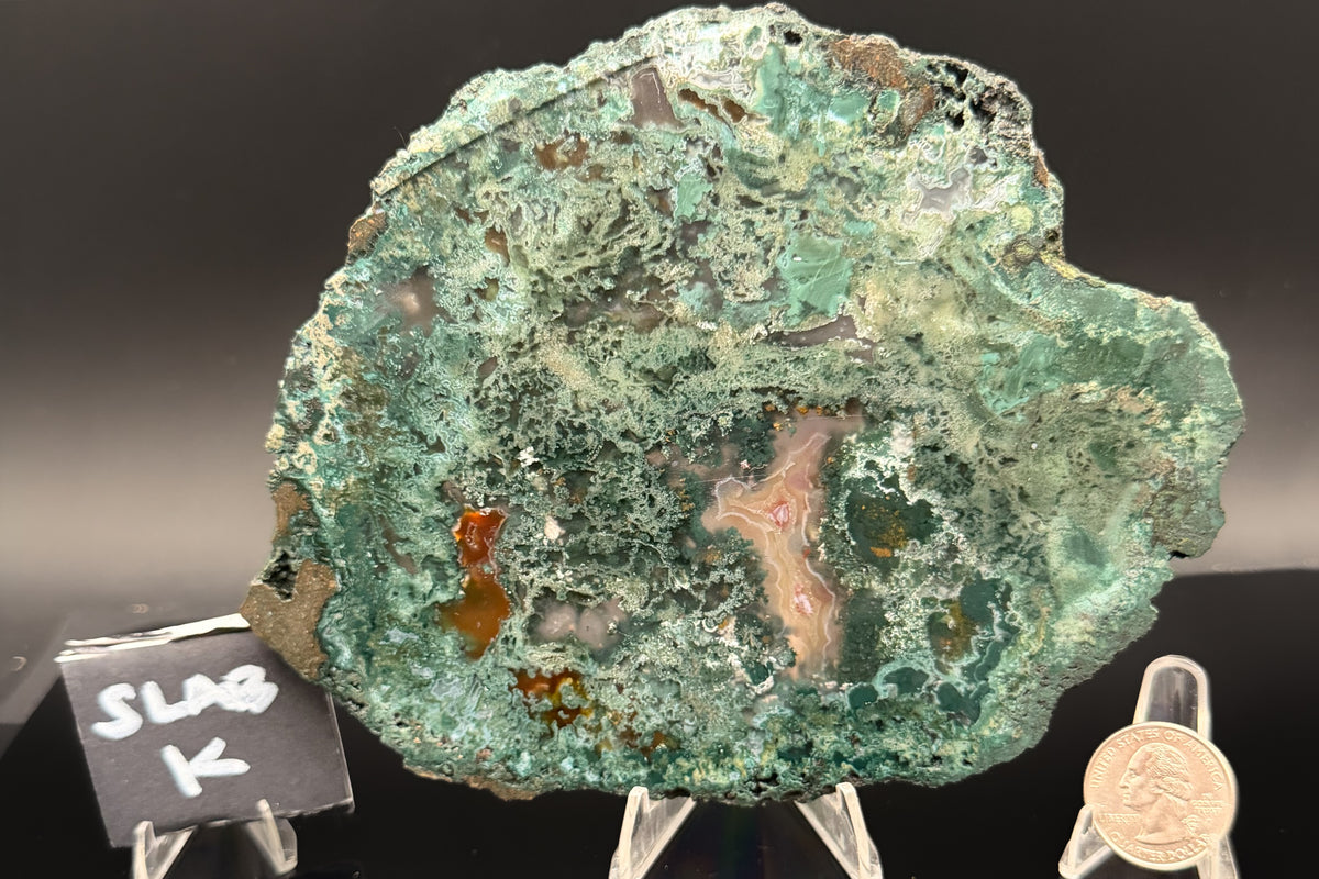 Turkish Limbcast with Agatized Chrysocolla (Unpolished)
