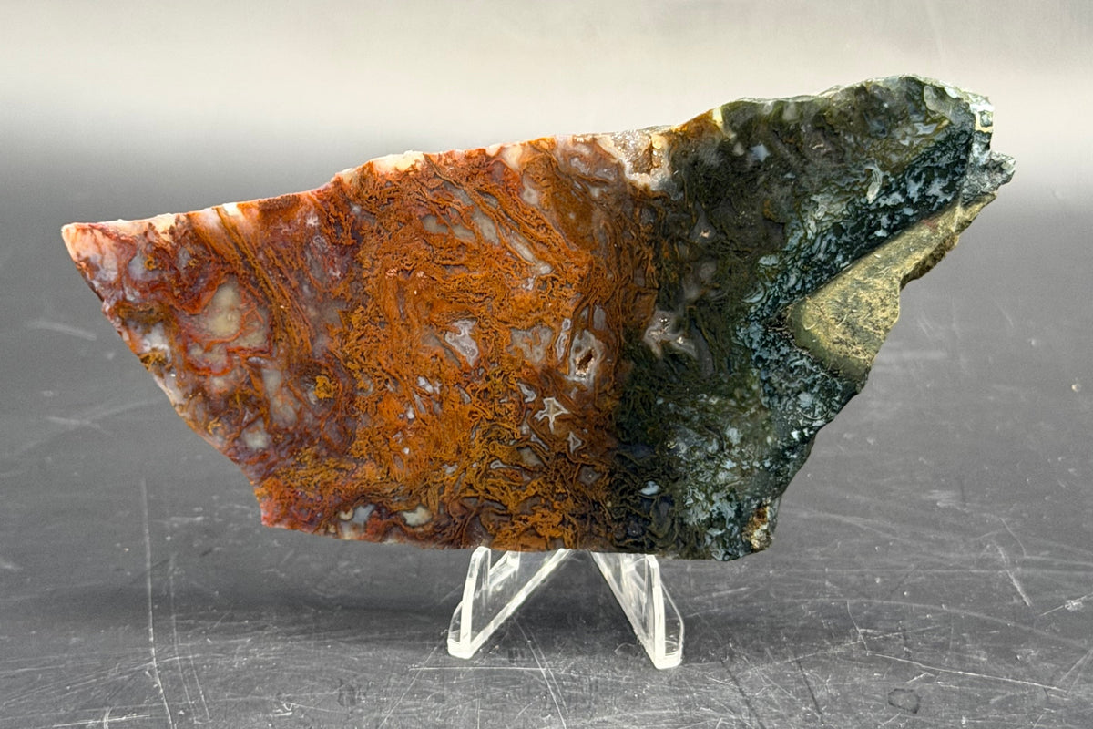 Maury Mountain Moss Agate (Unpolished) Slabs