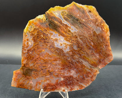 Bull Canyon Tube/Moss Agate (Unpolished)