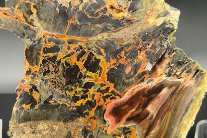 Turkish Petrified Wood (Unpolished)