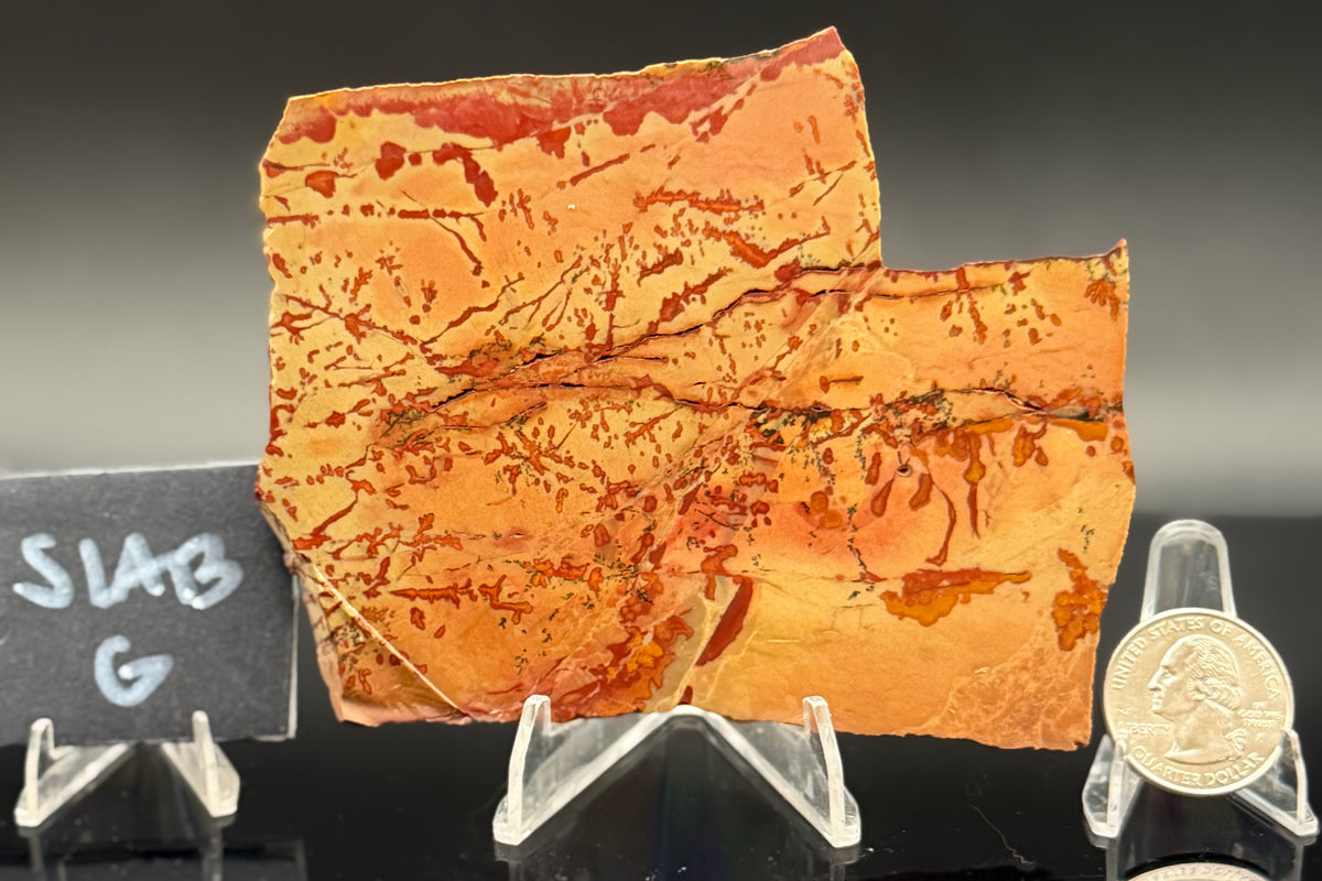 Owyhee Jasper (Unpolished)