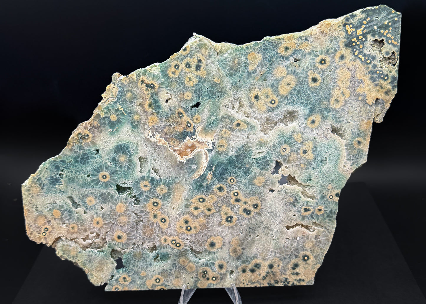 1st Vein Ocean Jasper (Unpolished)