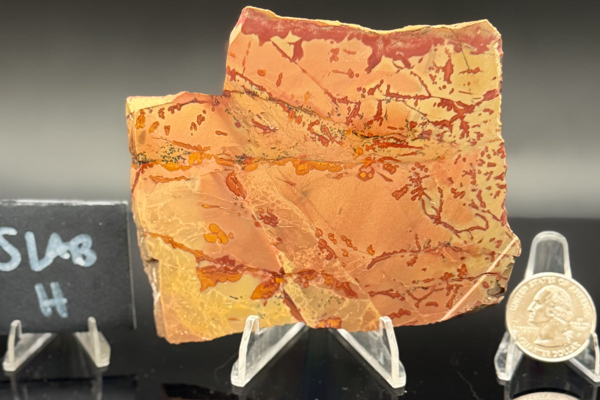 Owyhee Jasper (Unpolished)