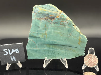 Skagg's Jasper (Unpolished)