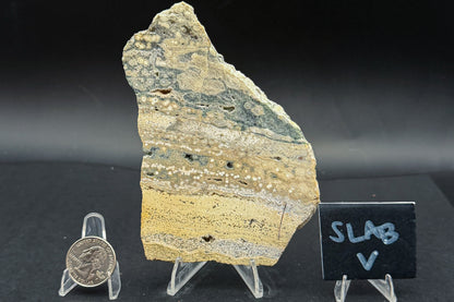 Ocean Jasper Slab (Unpolished)