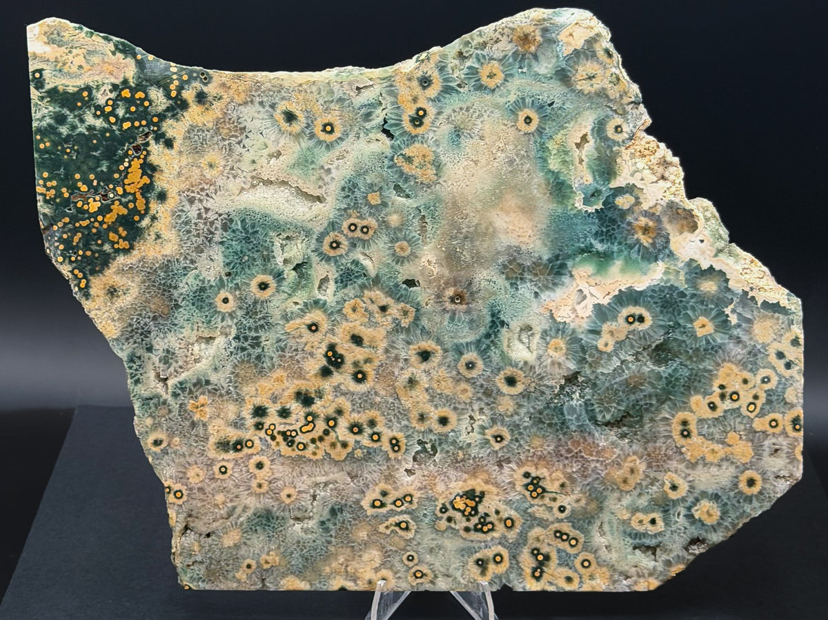 1st Vein Ocean Jasper (Unpolished)