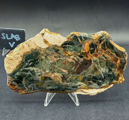 Morrisonite Jasper slab (Unpolished)