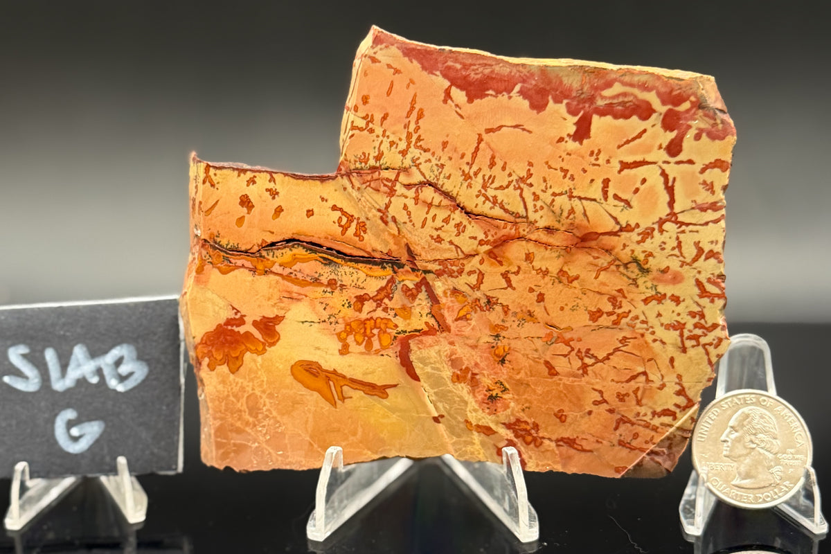 Owyhee Jasper (Unpolished)