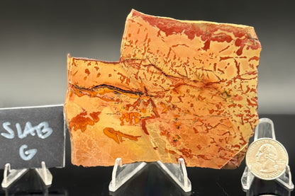 Owyhee Jasper (Unpolished)