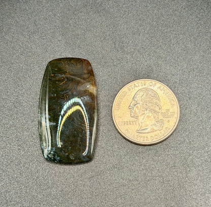 Maury Mountain Moss Agate Cabochon