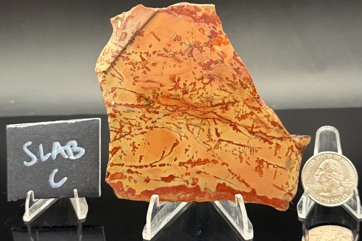 Owyhee Jasper (Unpolished)