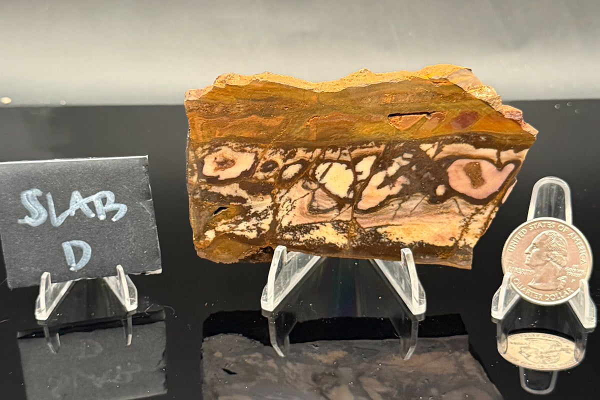 Outback Jasper (Unpolished)