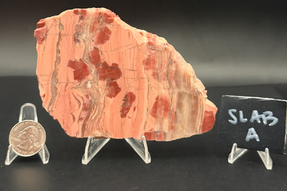 Unpolished Kona Dolomite