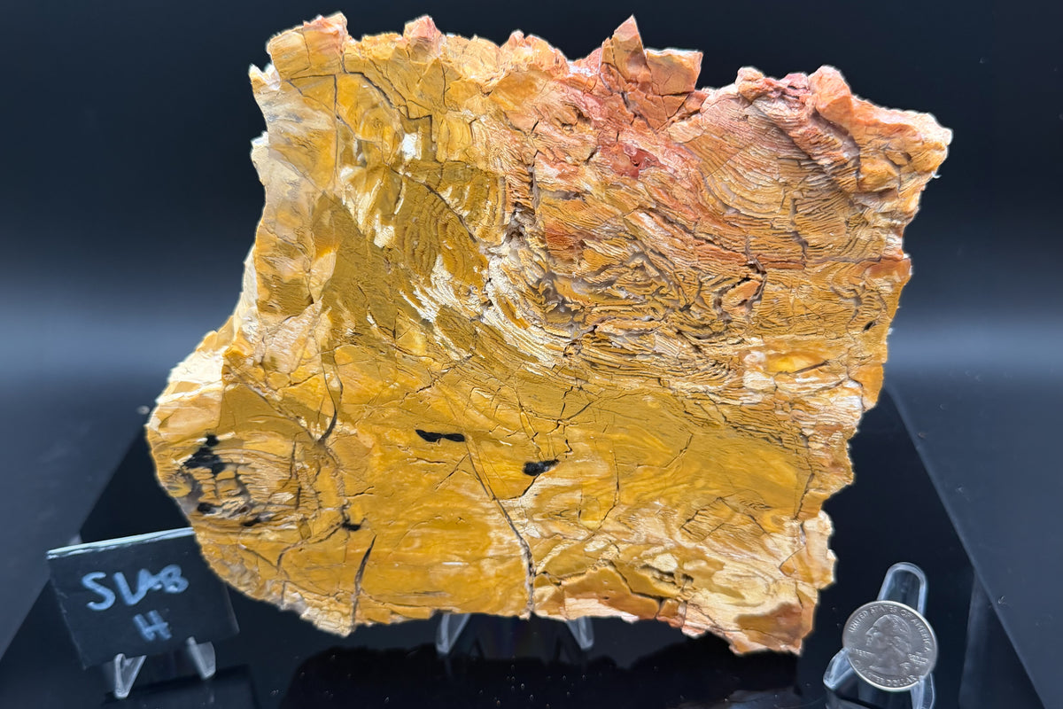 Howardite Jasper