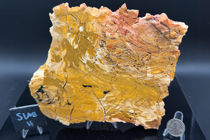 Howardite Jasper