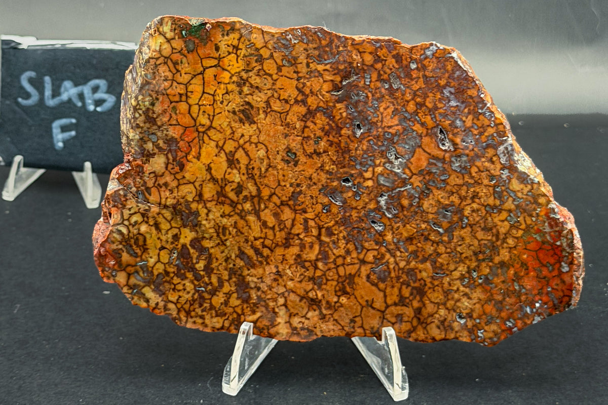 Spiderman Jasper Slabs (Unpolished)