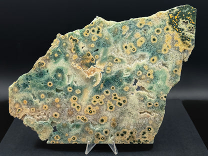 1st Vein Ocean Jasper (Unpolished)