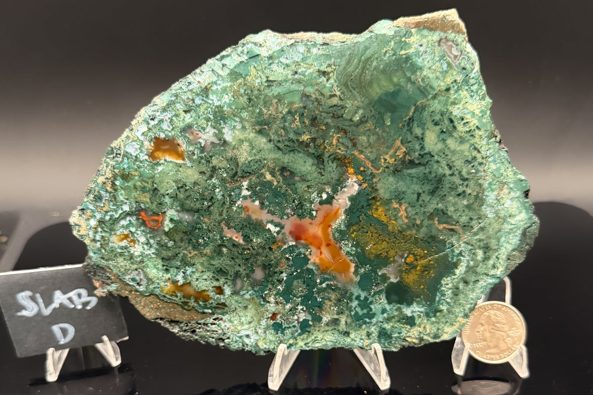 Turkish Limbcast with Agatized Chrysocolla (Unpolished)