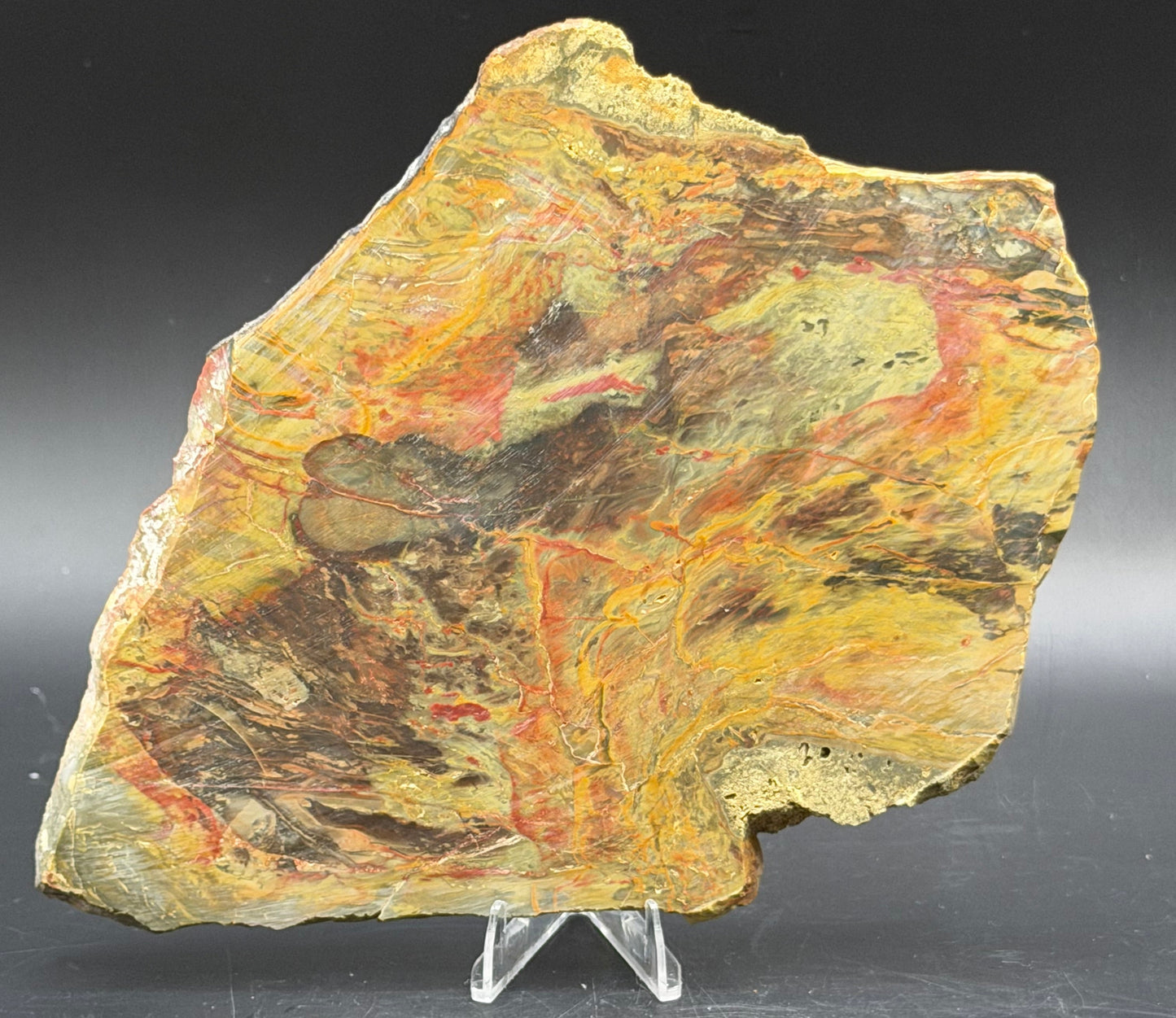 Morrisonite Jasper slab (Unpolished)