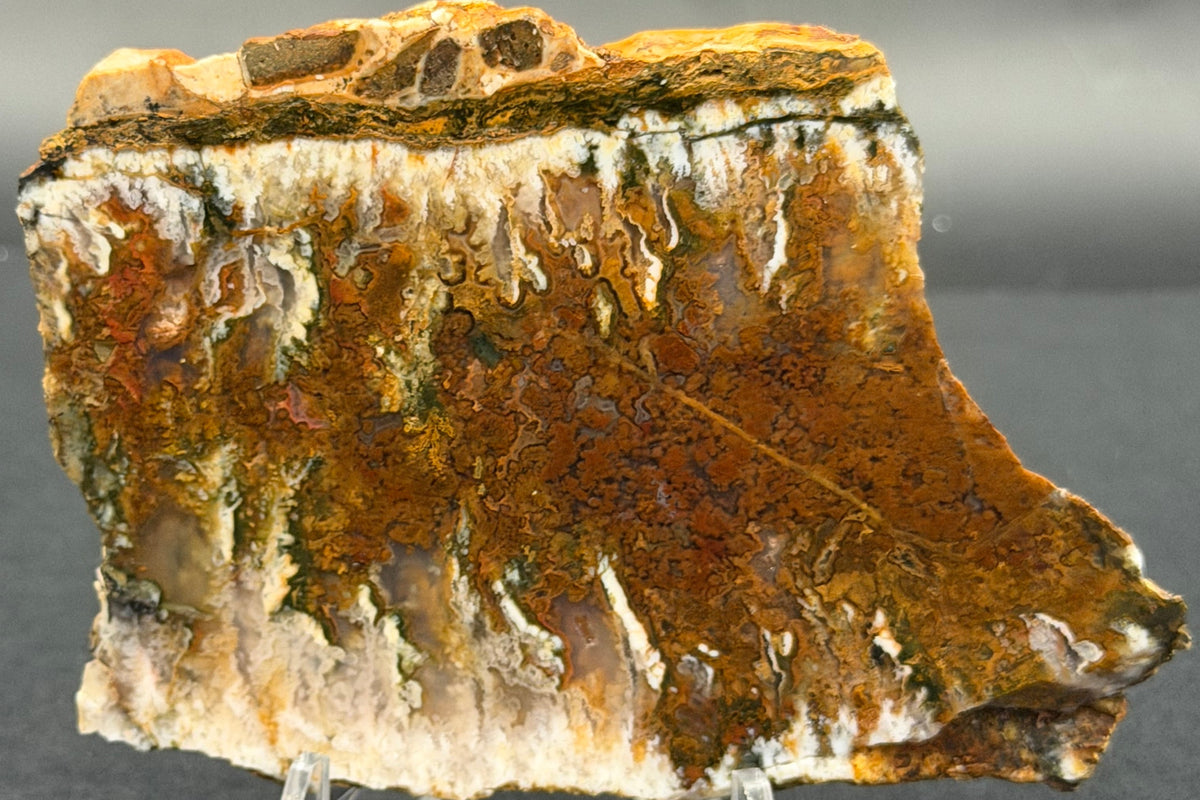 Linda Marie Plume Agate (Unpolished)