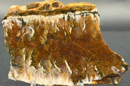 Linda Marie Plume Agate (Unpolished)