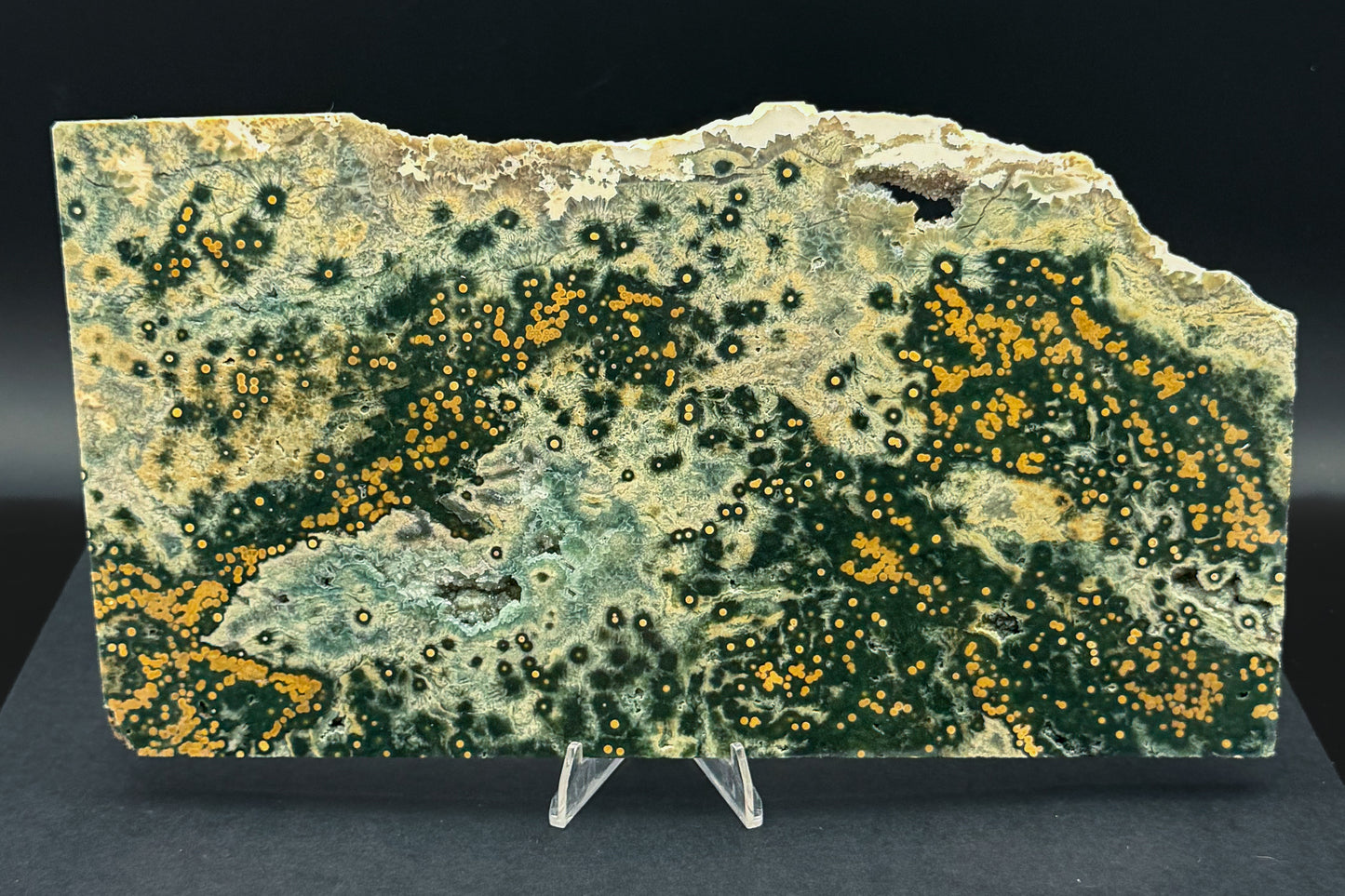 1st Vein Ocean Jasper (Unpolished)