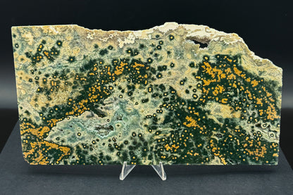 1st Vein Ocean Jasper (Unpolished)