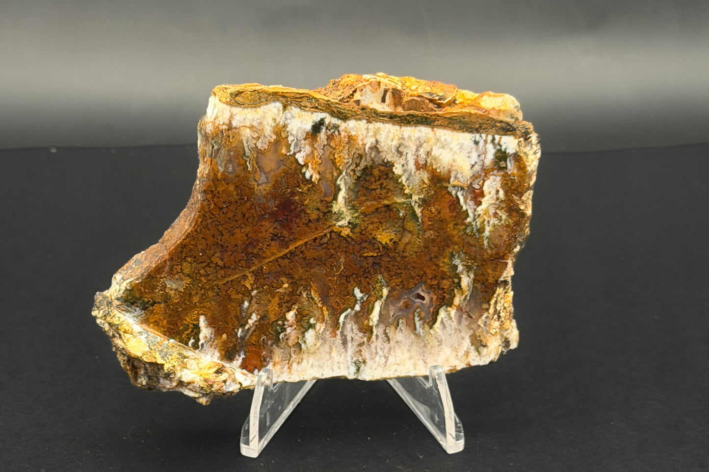 Linda Marie Plume Agate (Unpolished)
