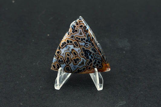 Cross Cut Tube Agate Cabochon