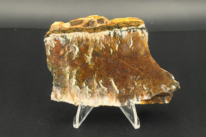 Linda Marie Plume Agate (Unpolished)