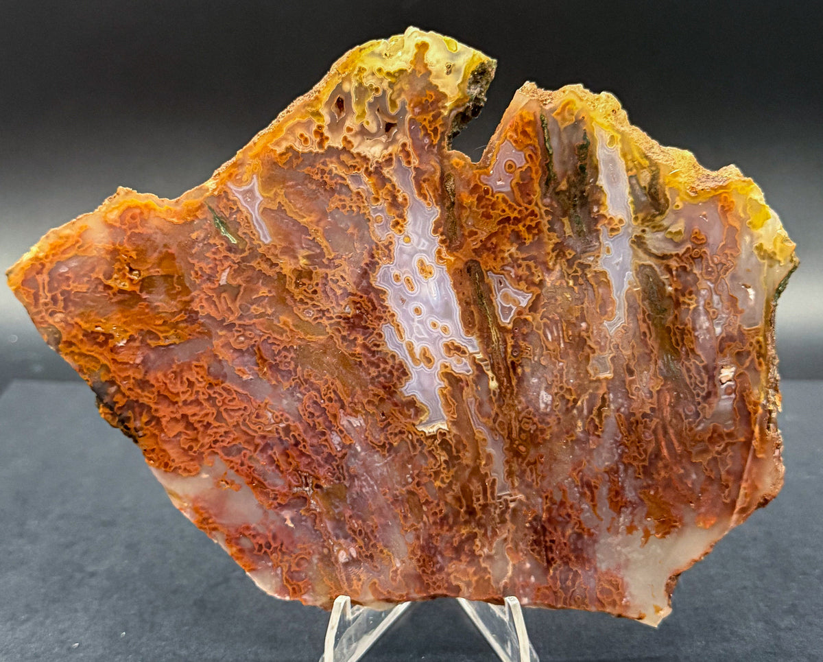 Bull Canyon Tube/Moss Agate (Unpolished)