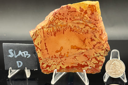 Owyhee Jasper (Unpolished)