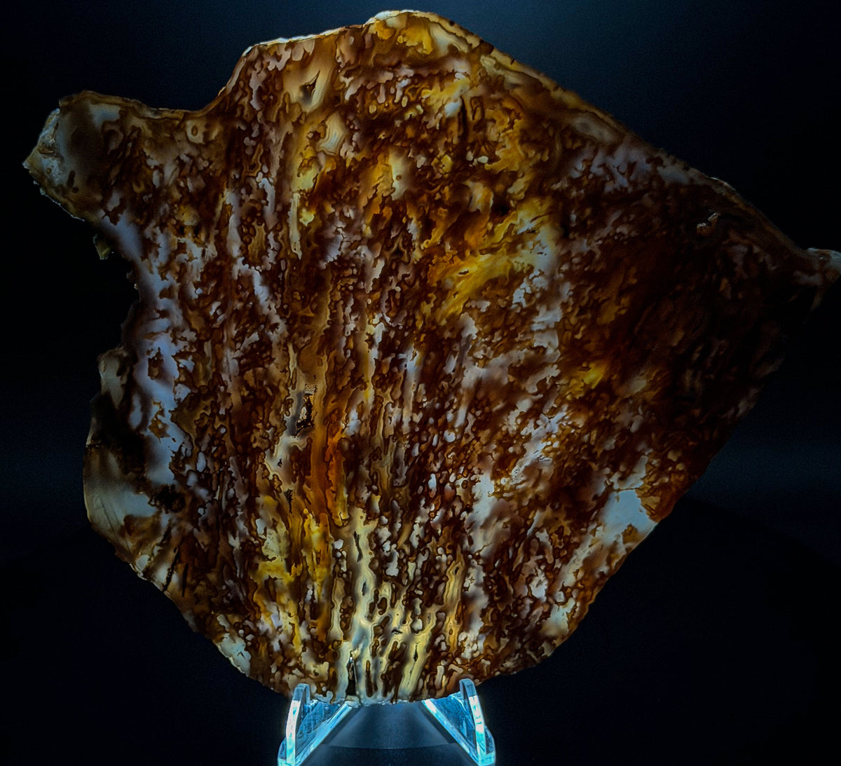 Bull Canyon Tube/Moss Agate (Unpolished)