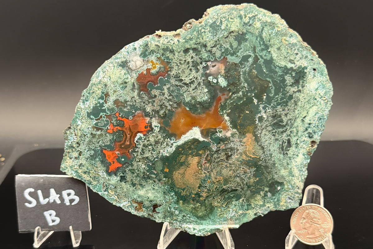 Turkish Limbcast with Agatized Chrysocolla (Unpolished)