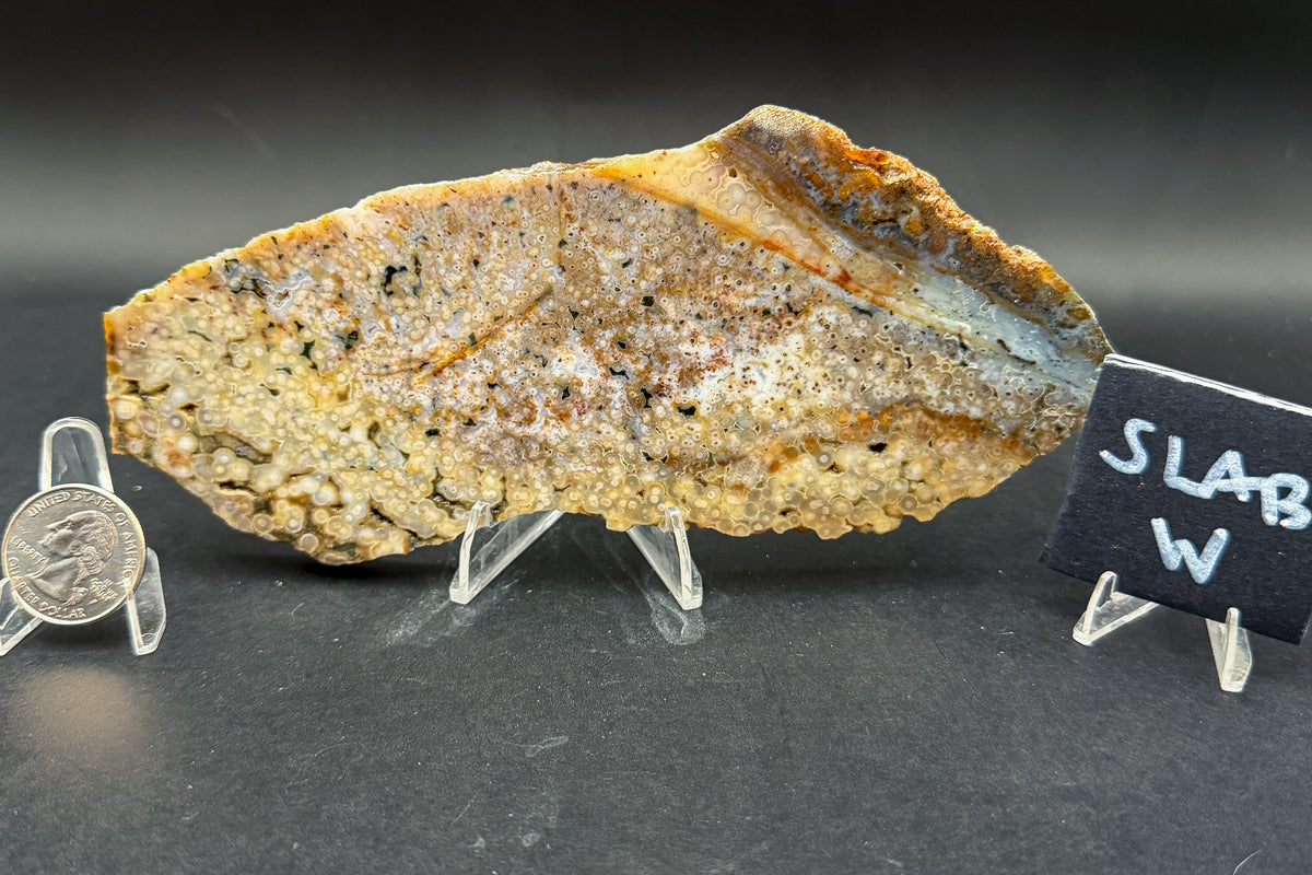 Ocean Jasper Slab (Unpolished)