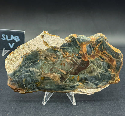 Morrisonite Jasper slab (Unpolished)