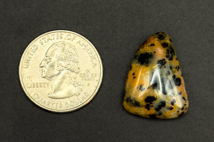 Cheetah Agate