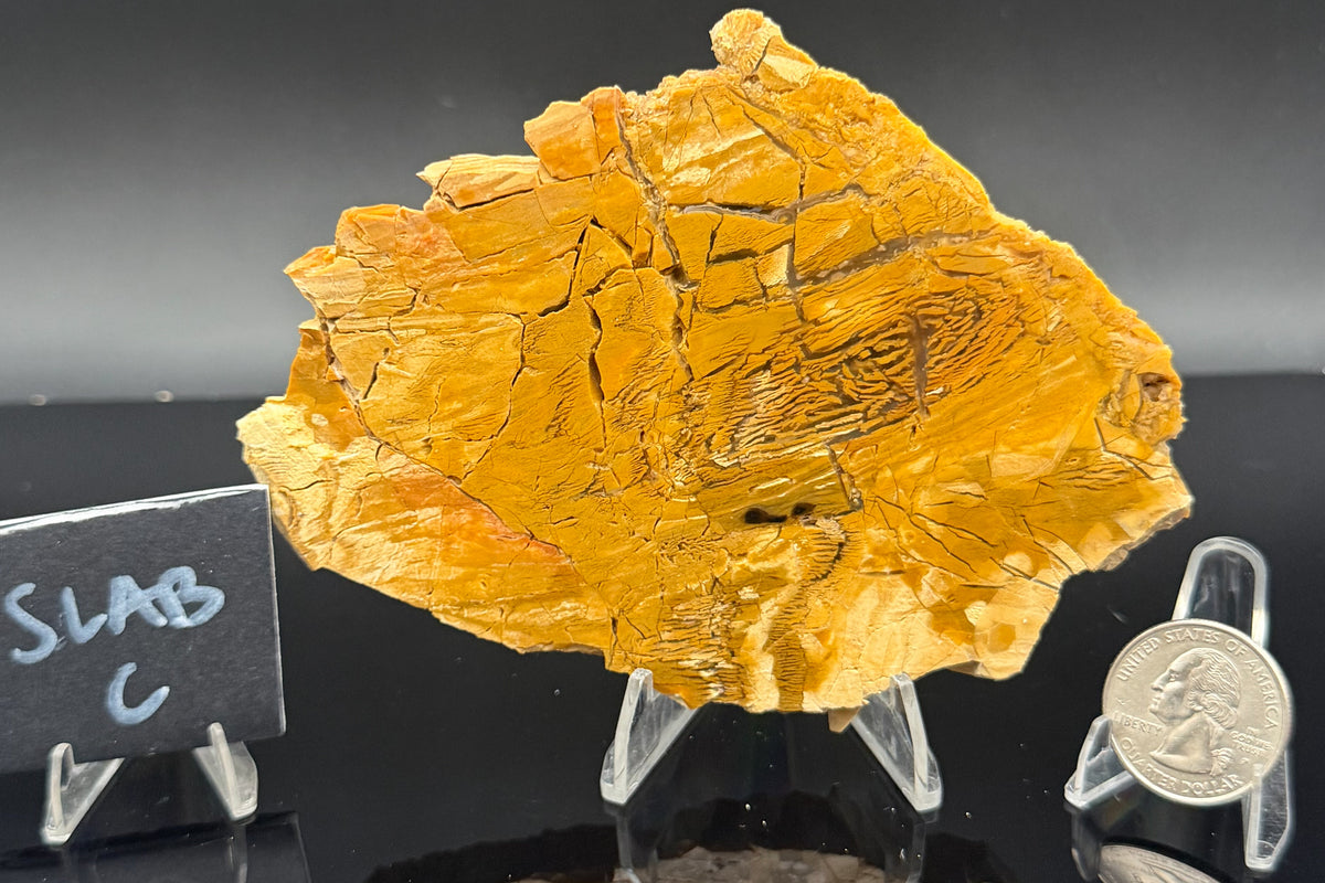 Howardite Jasper