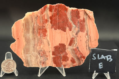 Unpolished Kona Dolomite