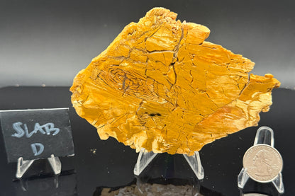 Howardite Jasper