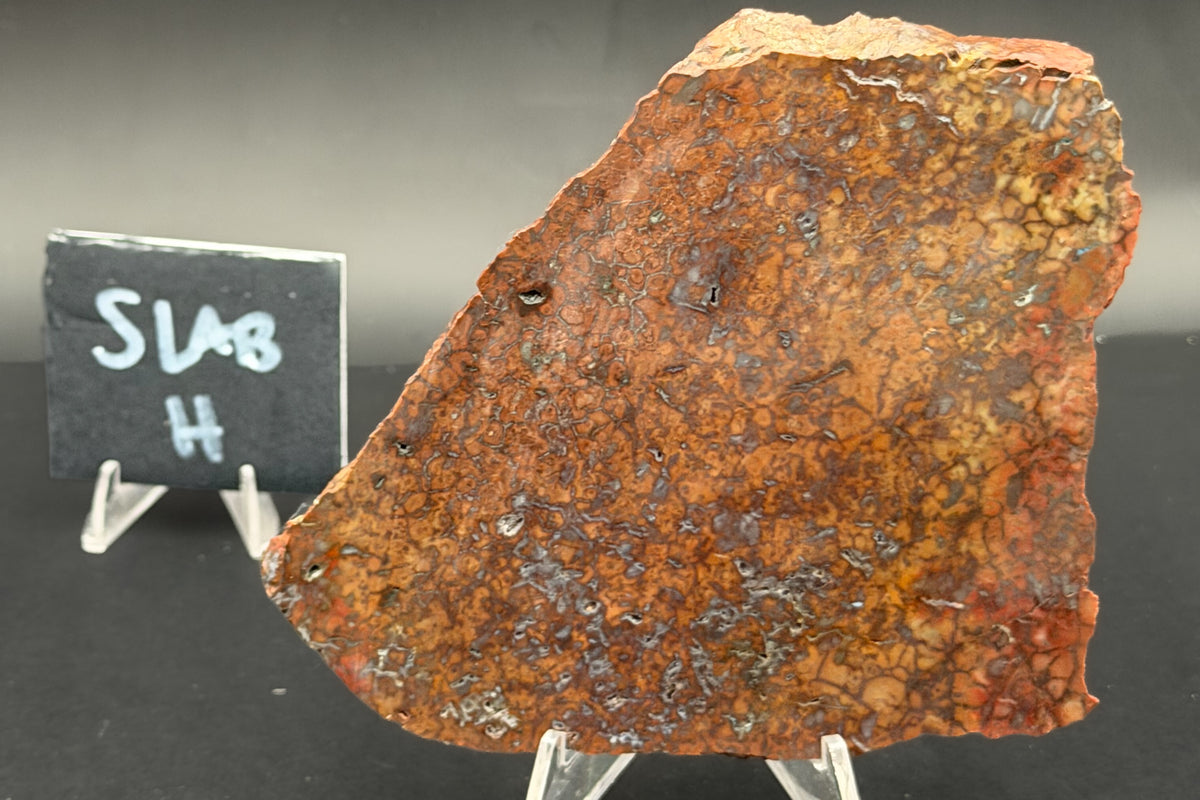 Spiderman Jasper Slabs (Unpolished)