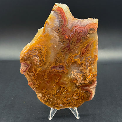 Turkish Agate with Amethyst and Quartz Crystals (Unpolished Slabs)