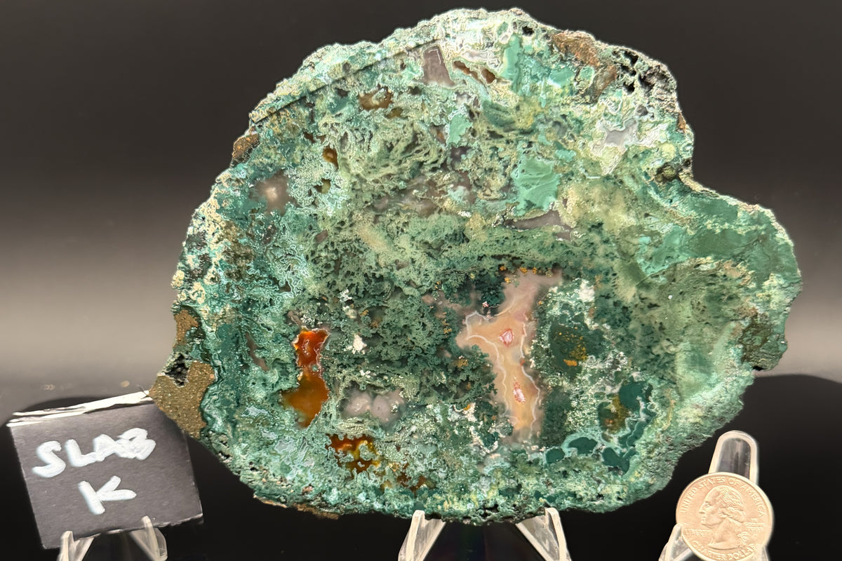 Turkish Limbcast with Agatized Chrysocolla (Unpolished)