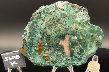 Turkish Limbcast with Agatized Chrysocolla (Unpolished)