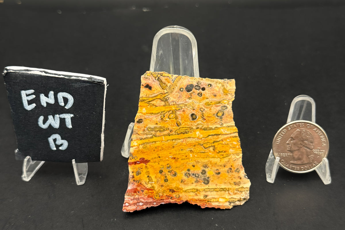 Leopard Skin Rhyolite (Unpolished)