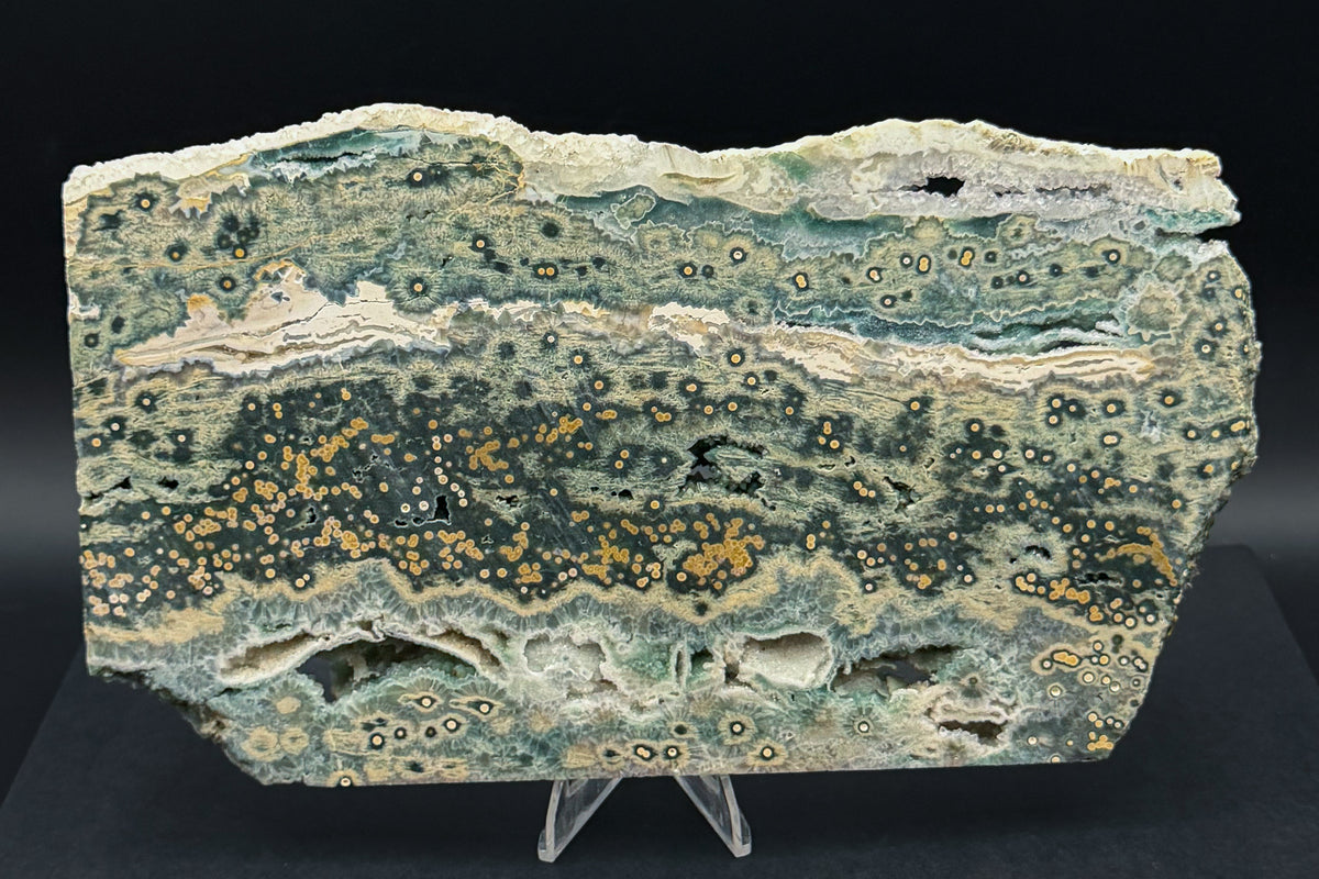 1st Vein Ocean Jasper (Unpolished)