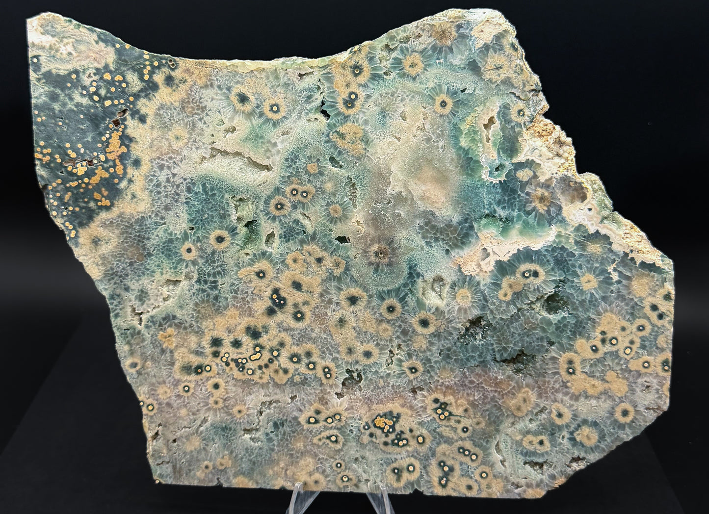 1st Vein Ocean Jasper (Unpolished)