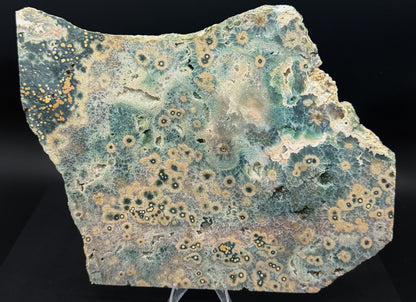 1st Vein Ocean Jasper (Unpolished)