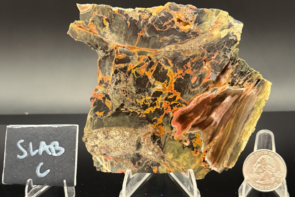 Turkish Petrified Wood (Unpolished)